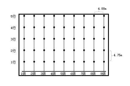 40×20米平房仓测温电缆布点图.png