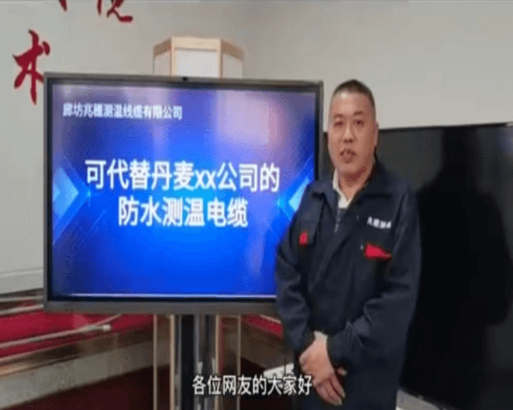 是什么样子的测温电缆能代替国外的?