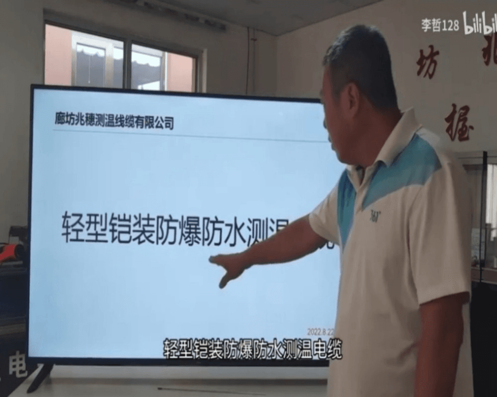 轻型铠装防爆防水测温电缆产品介绍