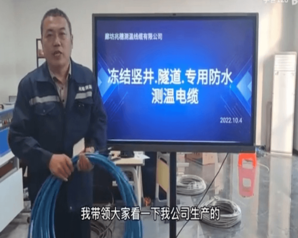冻结竖井隧道专用防水测温电缆