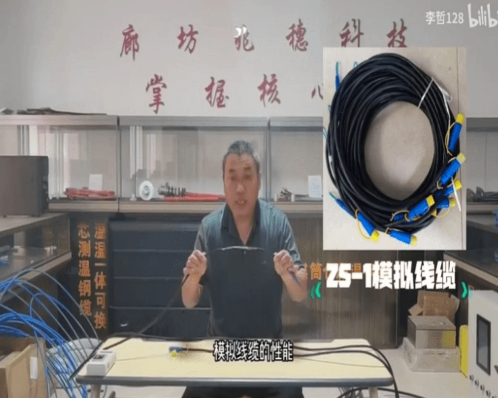 ZS-1模拟测温线缆解说视频